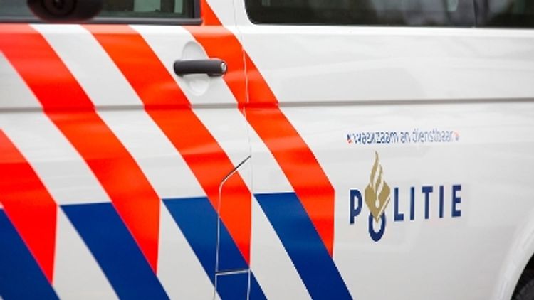 Rijswijk - Twee personen aangehouden na aantreffen dode hond bij boom